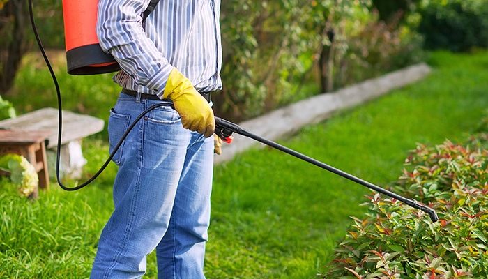 Professional Pest Management Services